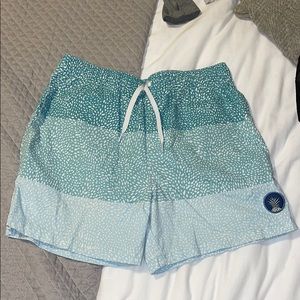 Chubbies Swim Trunks 5.5” Stretch